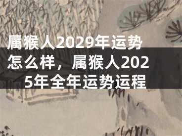 属猴人2029年运势怎么样,属猴人2025年全年运势运程