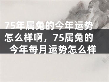 75年属兔的今年运势怎么样啊，75属兔的今年每月运势怎么样