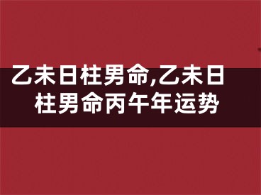 乙未日柱男命,乙未日柱男命丙午年运势