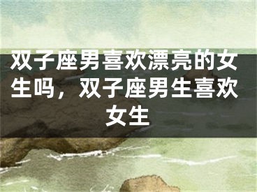 双子座男喜欢漂亮的女生吗，双子座男生喜欢女生