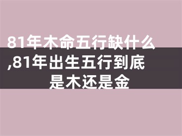 81年木命五行缺什么,81年出生五行到底是木还是金