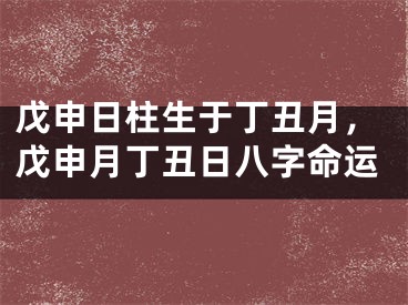 戊申日柱生于丁丑月,戊申月丁丑日八字命运