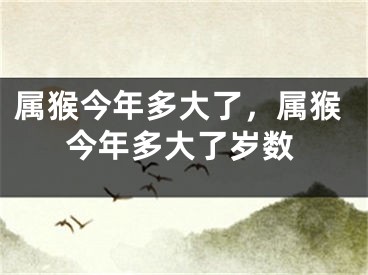 属猴今年多大了，属猴今年多大了岁数