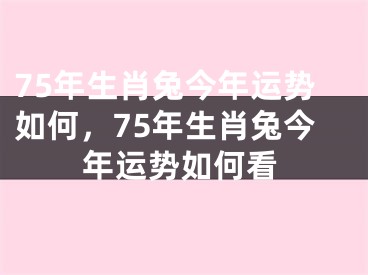 75年生肖兔今年运势如何，75年生肖兔今年运势如何看