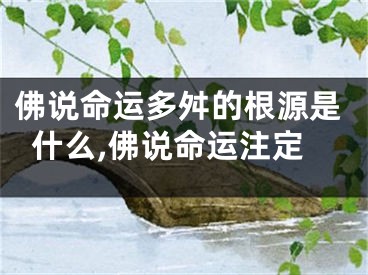 佛说命运多舛的根源是什么,佛说命运注定
