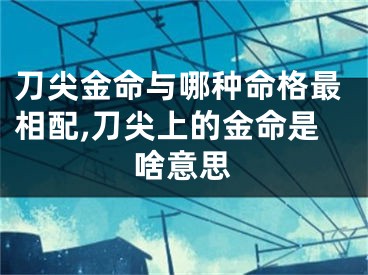 刀尖金命与哪种命格最相配,刀尖上的金命是啥意思