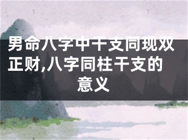 男命八字中干支同现双正财,八字同柱干支的意义