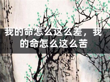 我的命怎么这么差，我的命怎么这么苦