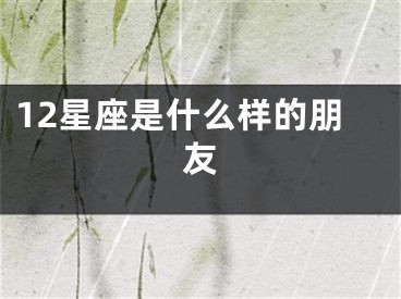 12星座是什么样的朋友