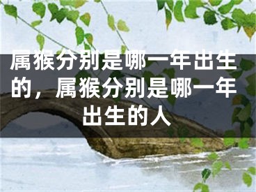 属猴分别是哪一年出生的,属猴分别是哪一年出生的人