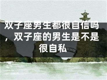 双子座男生都很自信吗，双子座的男生是不是很自私
