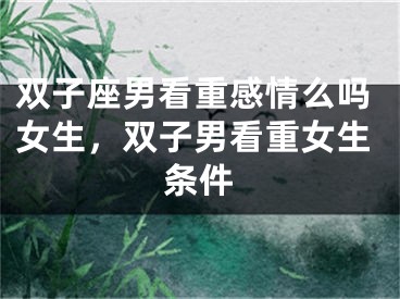 双子座男看重感情么吗女生,双子男看重女生条件