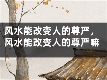 风水能改变人的尊严，风水能改变人的尊严嘛