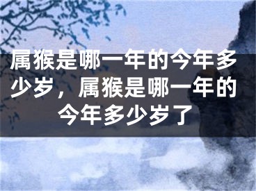 属猴是哪一年的今年多少岁，属猴是哪一年的今年多少岁了