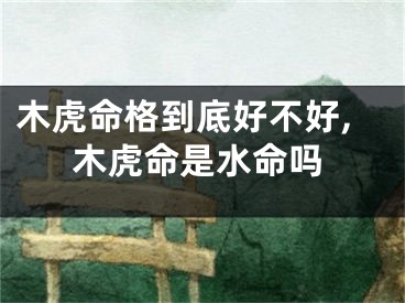 木虎命格到底好不好,木虎命是水命吗