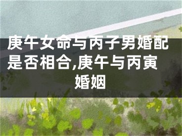 庚午女命与丙子男婚配是否相合,庚午与丙寅婚姻