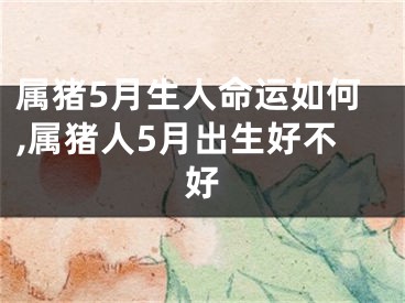 属猪5月生人命运如何,属猪人5月出生好不好