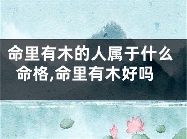 命里有木的人属于什么命格,命里有木好吗