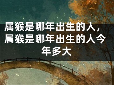 属猴是哪年出生的人,属猴是哪年出生的人今年多大