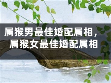 属猴男最佳婚配属相，属猴女最佳婚配属相