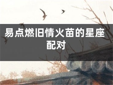 易点燃旧情火苗的星座配对