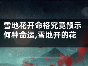 雪地花开命格究竟预示何种命运,雪地开的花