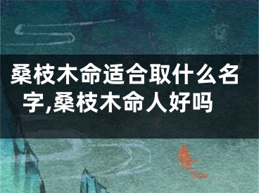 桑枝木命适合取什么名字,桑枝木命人好吗