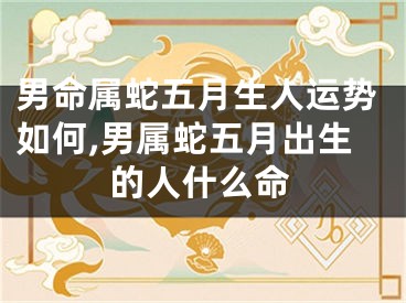 男命属蛇五月生人运势如何,男属蛇五月出生的人什么命