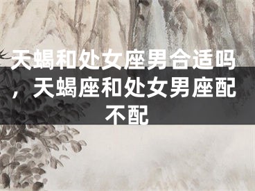 天蝎和处女座男合适吗，天蝎座和处女男座配不配