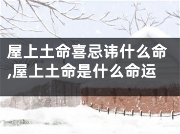 屋上土命喜忌讳什么命,屋上土命是什么命运