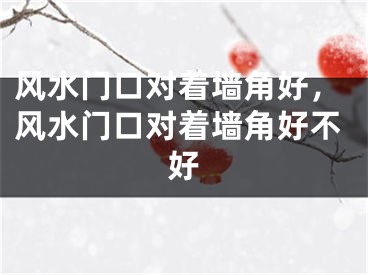 风水门口对着墙角好，风水门口对着墙角好不好