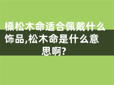槡松木命适合佩戴什么饰品,松木命是什么意思啊?