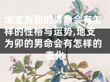 地支为卯的男命会有怎样的性格与运势,地支为卯的男命会有怎样的变化