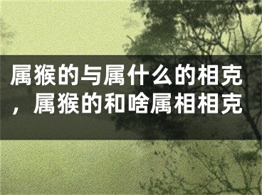 属猴的与属什么的相克，属猴的和啥属相相克
