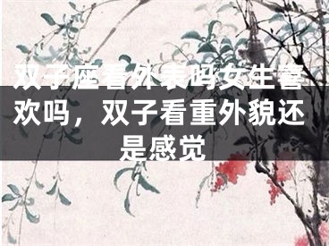 双子座看外表吗女生喜欢吗，双子看重外貌还是感觉