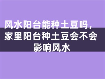 风水阳台能种土豆吗，家里阳台种土豆会不会影响风水