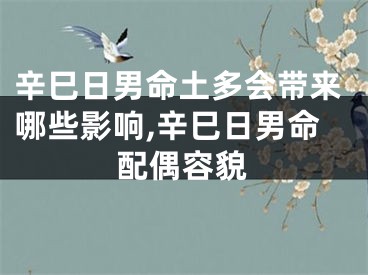 辛巳日男命土多会带来哪些影响,辛巳日男命配偶容貌