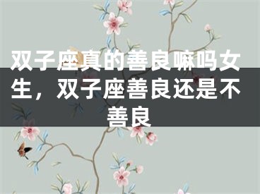 双子座真的善良嘛吗女生，双子座善良还是不善良