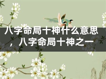 八字命局十神什么意思，八字命局十神之一