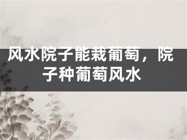 风水院子能栽葡萄，院子种葡萄风水