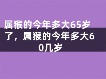属猴的今年多大65岁了,属猴的今年多大60几岁