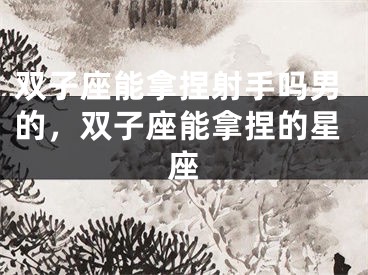 双子座能拿捏射手吗男的，双子座能拿捏的星座