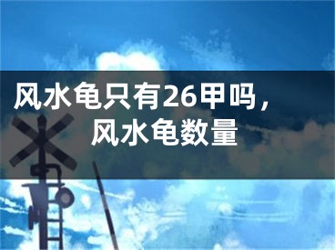 风水龟只有26甲吗,风水龟数量