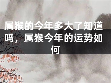 属猴的今年多大了知道吗,属猴今年的运势如何