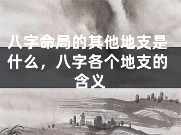 八字命局的其他地支是什么，八字各个地支的含义