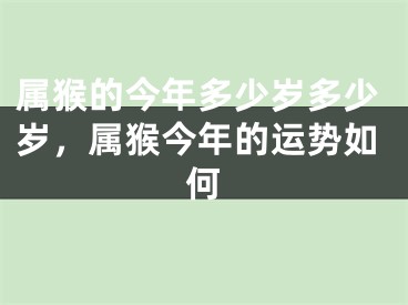 属猴的今年多少岁多少岁，属猴今年的运势如何