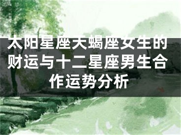 太阳星座天蝎座女生的财运与十二星座男生合作运势分析