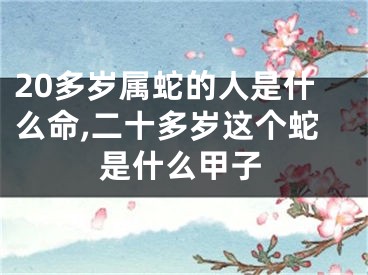 20多岁属蛇的人是什么命,二十多岁这个蛇是什么甲子