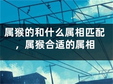 属猴的和什么属相匹配，属猴合适的属相