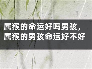 属猴的命运好吗男孩，属猴的男孩命运好不好
